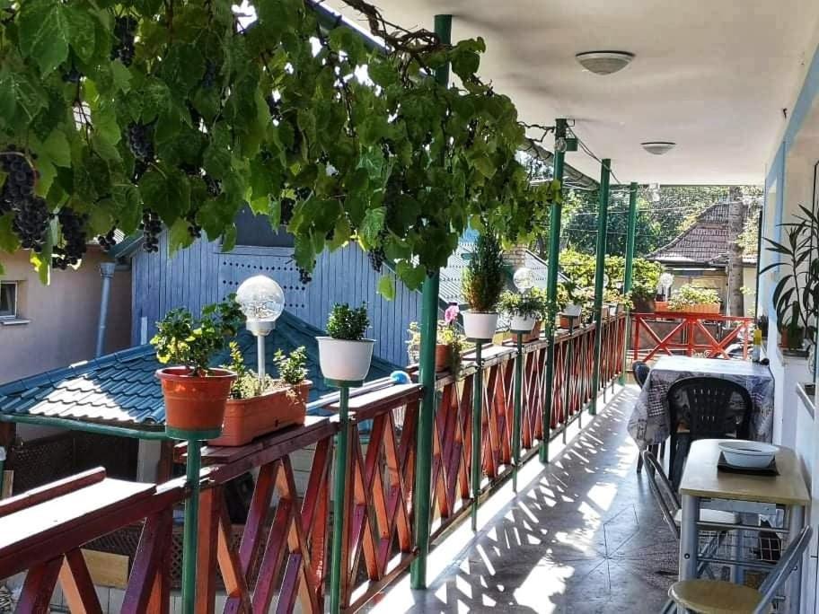 Casa Vinco Vici Hotell Turda Exteriör bild